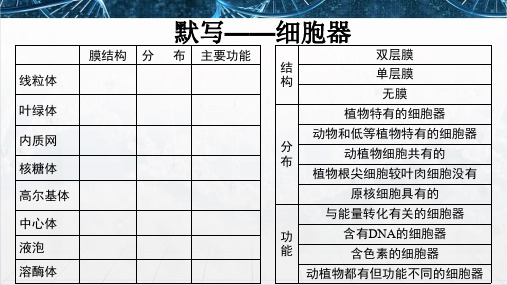 8.细胞核和生物膜系统