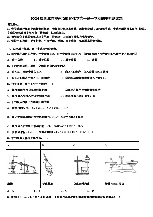 2024届湖北省鄂东南联盟化学高一第一学期期末检测试题含解析