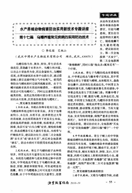 水产养殖动物病害防治实用新技术专题讲座  第十七篇  乌鳢养殖常见疾病的实用防治技术