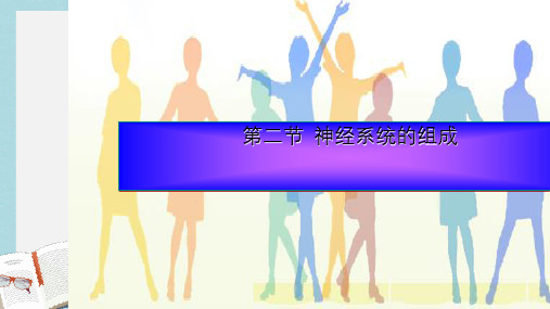 七年级生物下册人教版2神经系统的组成ppt课件