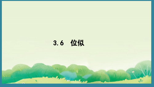 3.6 位似 (课件)2024-2025湘教版 数学九年级上册