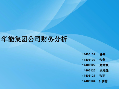 华能集团公司财务综合分析(ppt 68页)实用资料