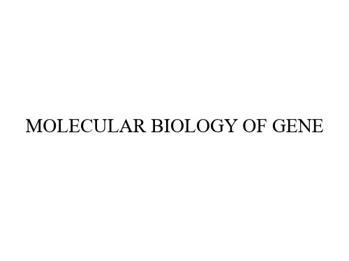 分子生物学讲义-Regulatory RNAs