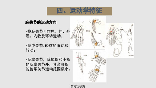 运动学三腕运动学特征