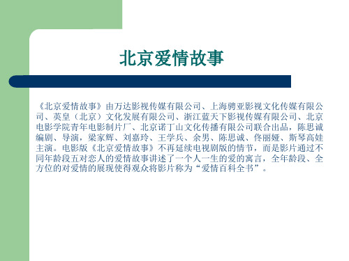 北京爱情故事的介绍