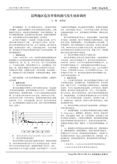 昆明地区危害苹果的蓟马发生初步调查