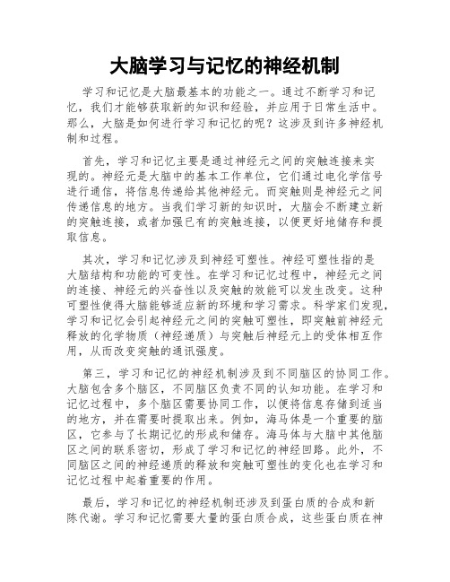 大脑学习与记忆的神经机制