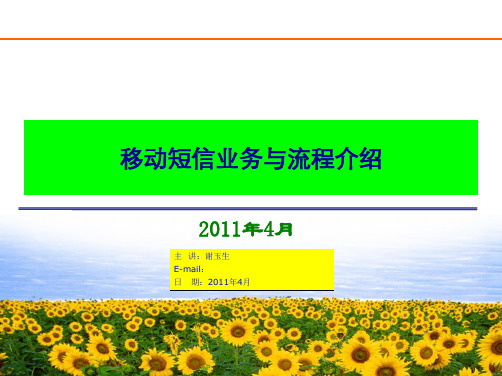 短信业务与流程介绍ppt课件