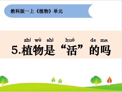 最新教科版一年级上册科学《植物是活的吗》精品课件