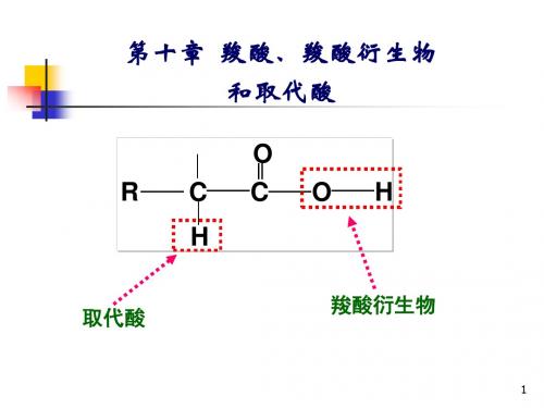 第10章 羧酸及衍生物