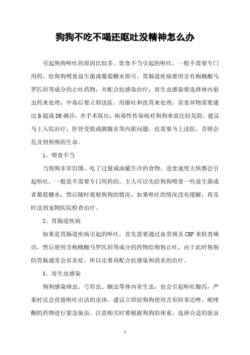 狗狗不吃不喝还呕吐没精神怎么办