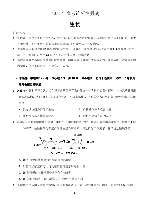 【4月烟台市一模生物】山东省烟台市2020届高三4月诊断性模拟考试(一模)生物试卷及答案解析评分标准