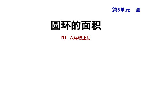 六年级上册数学课件5.5 圆环的面积｜人教新课标(秋) (共12张PPT)