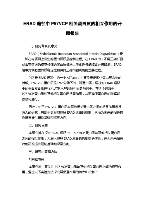 ERAD途径中P97VCP相关蛋白质的相互作用的开题报告