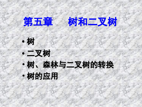 树二叉树树森林与二叉树的转换树的应用课件