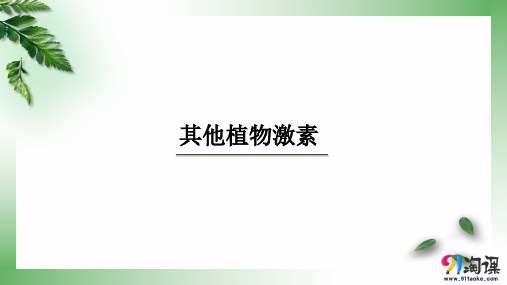 课件18：3.3 其他植物激素