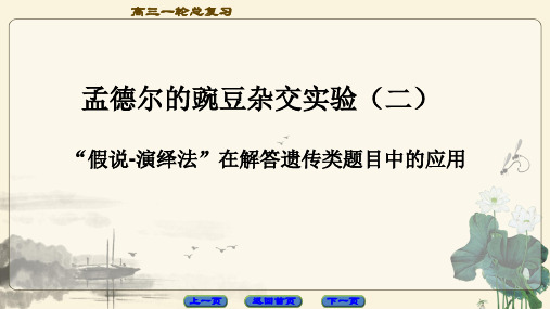 【课件】高三2019一轮复习假说演绎法的应用