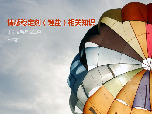 锂盐相关知识演示精品PPT课件