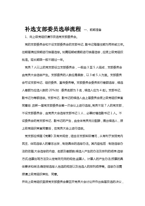 补选支部委员选举流程