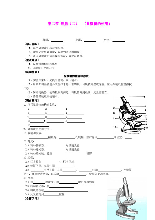 2.2 细胞(第二课时) 导学案(浙教版七年级上)