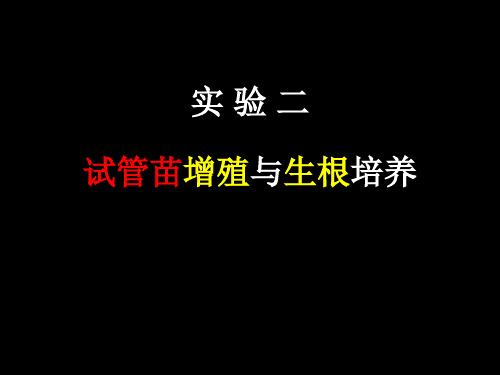 实验二  试管苗增殖与生根培养