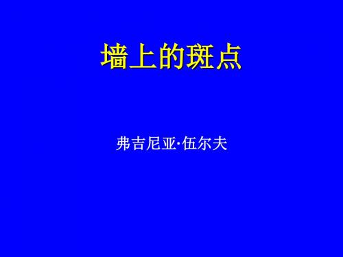 墙上的斑点ppt8