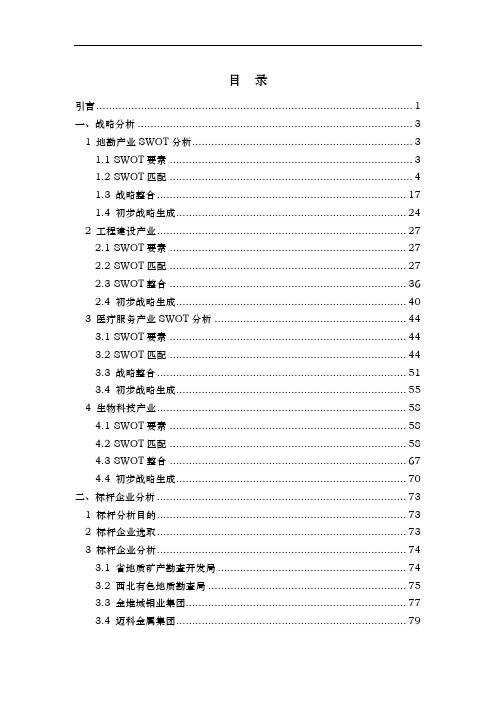 集团公司战略规划报告