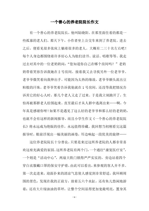 一个善心的养老院院长作文