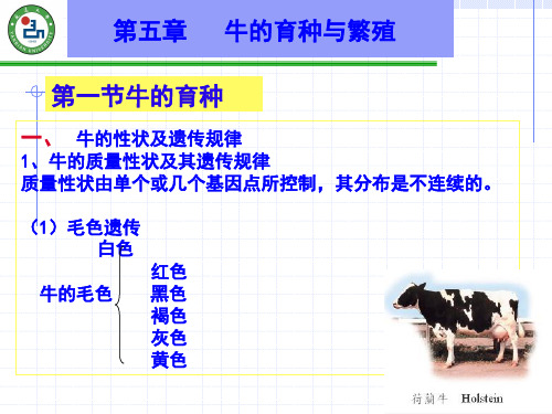 牛生产学(2012-2013)第五章(繁育)