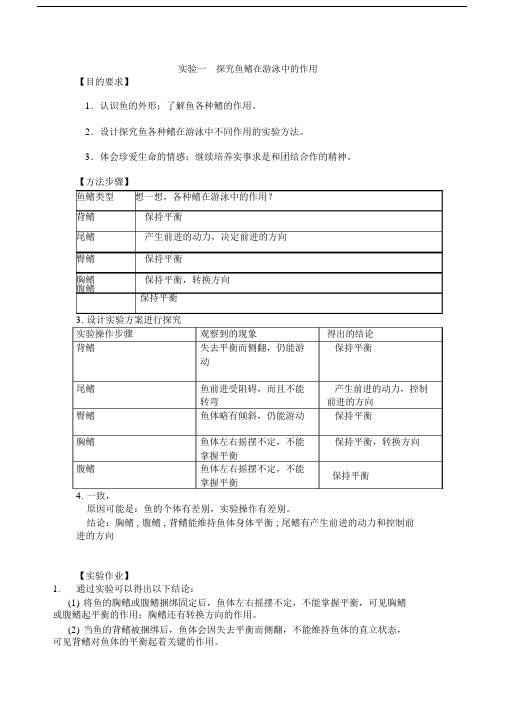 八年级生物实验报告册上.doc