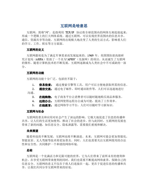 互联网是啥意思