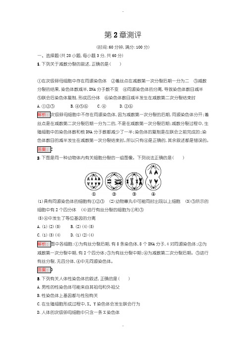 最新人教版高中生物必修二 练习-第2章 基因和染色体的关系 第2章测评含答案