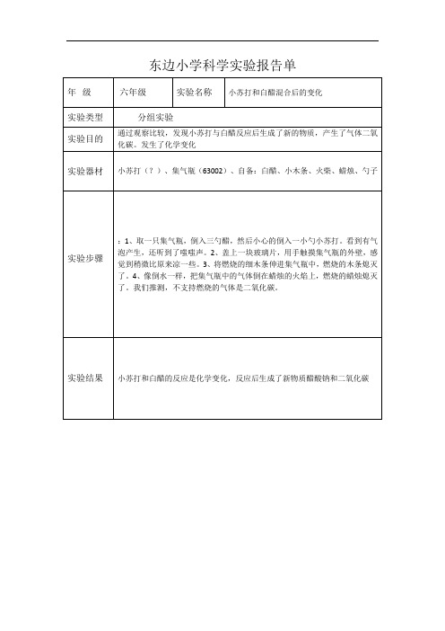 东边小学六年级上科学实验报告单-小苏打和白醋