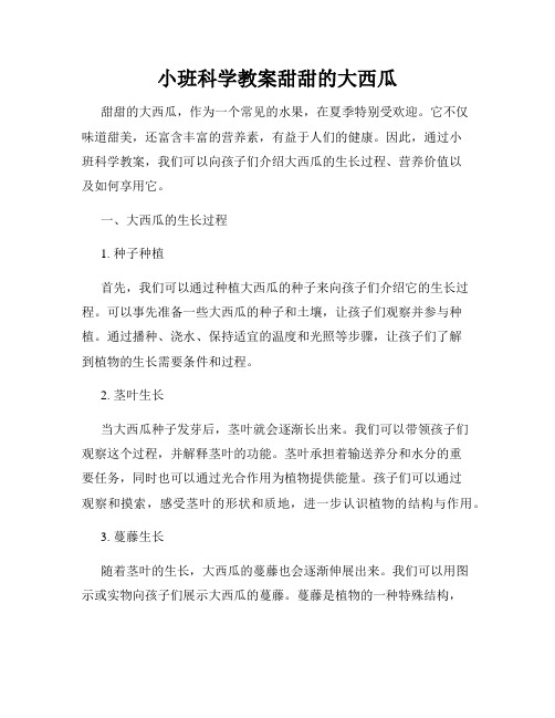 小班科学教案甜甜的大西瓜