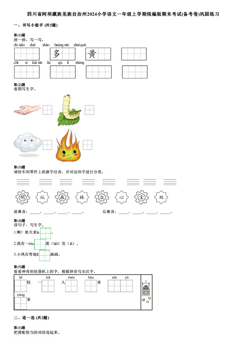 四川省阿坝藏族羌族自治州2024小学语文一年级上学期统编版期末考试(备考卷)巩固练习