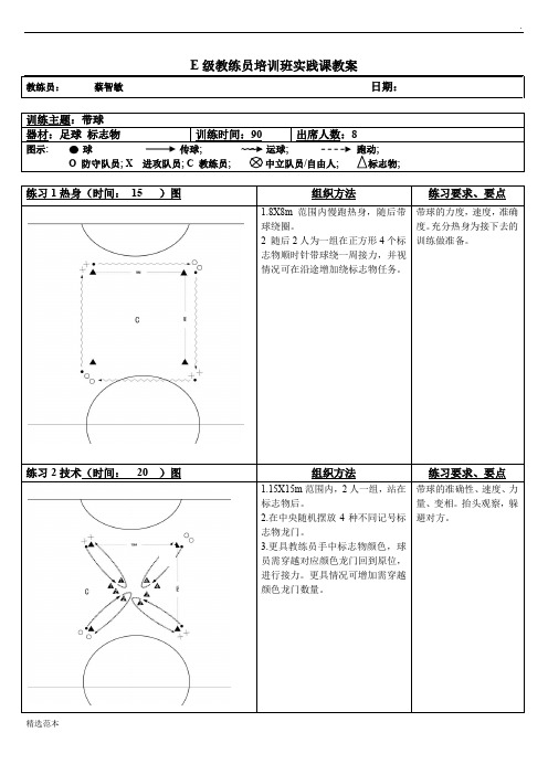 学员实践课教案(E级)(带球)