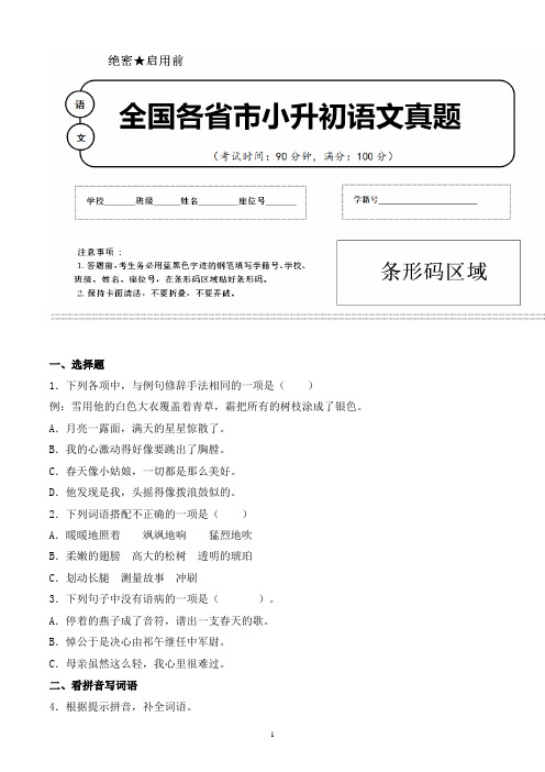 【小升初】2020年湖北省黄石市小升初语文毕业会考试题含答案(全网唯一)