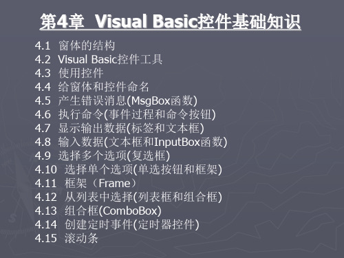 第4章VisualBasic控件基