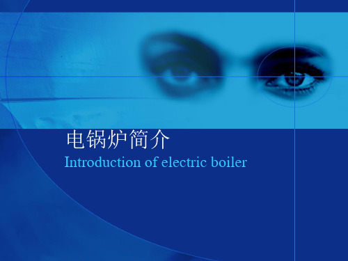 电锅炉的应用介绍【精选】