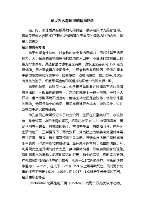 扇贝怎么养扇贝的疫病防治