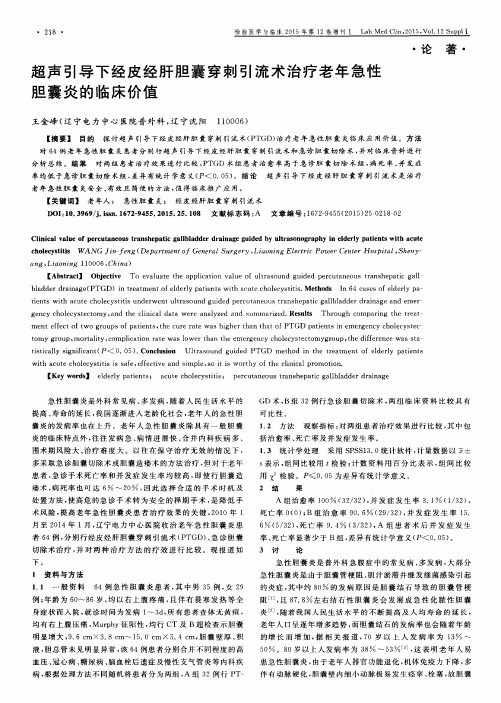 超声引导下经皮经肝胆囊穿刺引流术治疗老年急性胆囊炎的临床价值