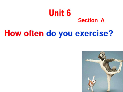 how-often-do-you-exercisePPT课件