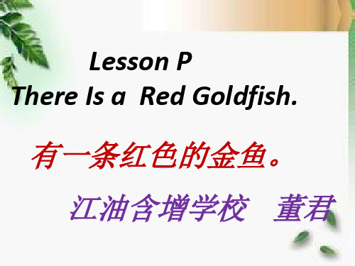 There is a red goldfish第二课时