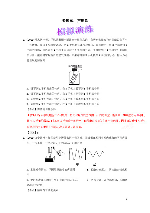 2020年中考物理知识点复习专练专题01声现象解析版