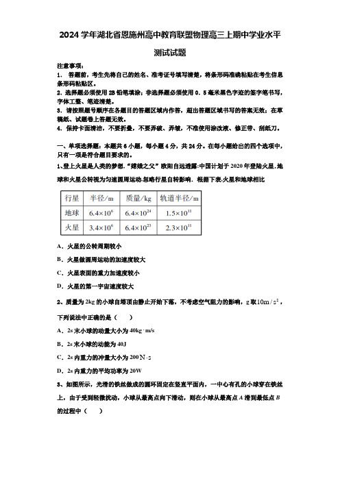 2024学年湖北省恩施州高中教育联盟物理高三上期中学业水平测试试题含解析