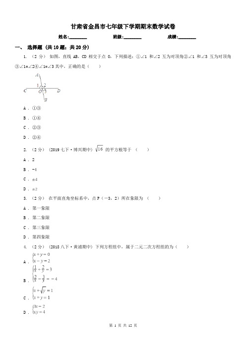 甘肃省金昌市七年级下学期期末数学试卷