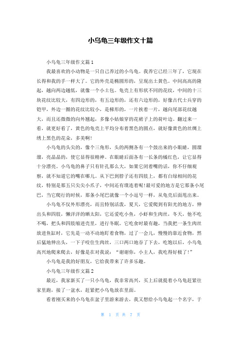 小乌龟三年级作文十篇