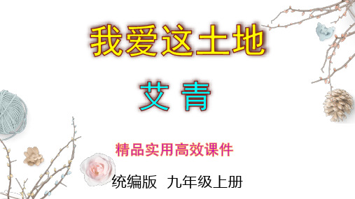 2023-2024 部编版初中语文 九年级上册 第3课《我爱这土地》+课件