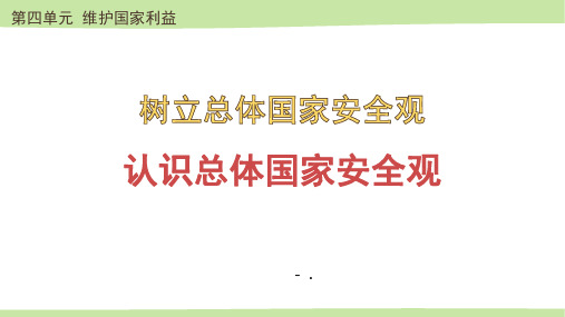 《认识总体国家安全观》PPT优秀课件