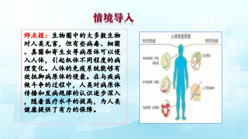 复习免疫与健康课件(共45张PPT)济南版生物七年级下册